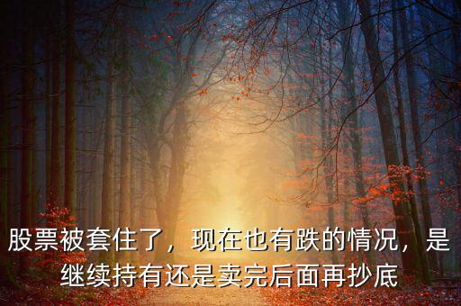 股票被套住了，現(xiàn)在也有跌的情況，是繼續(xù)持有還是賣完后面再抄底