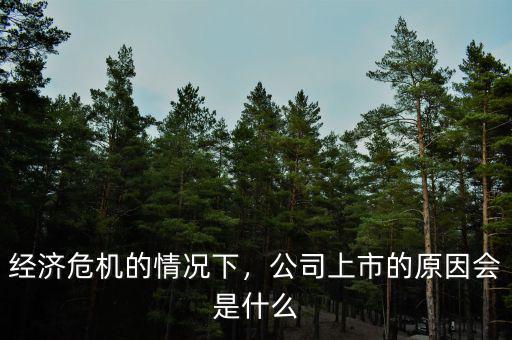 經(jīng)濟(jì)危機(jī)的情況下，公司上市的原因會(huì)是什么