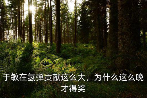 于敏在氫彈貢獻(xiàn)這么大，為什么這么晚才得獎