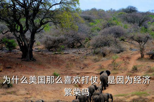 為什么美國那么喜歡打仗，是因?yàn)榻?jīng)濟(jì)繁榮嗎