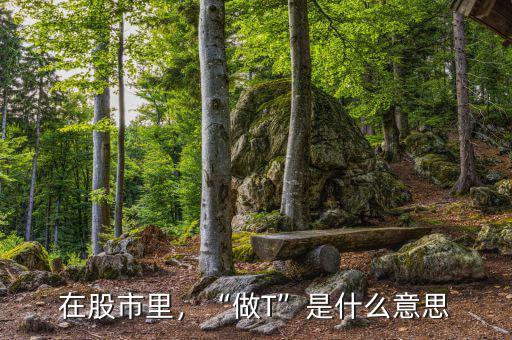 在股市里，“做T”是什么意思