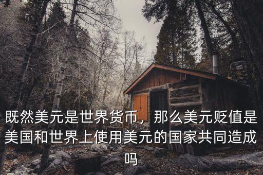 既然美元是世界貨幣，那么美元貶值是美國(guó)和世界上使用美元的國(guó)家共同造成嗎