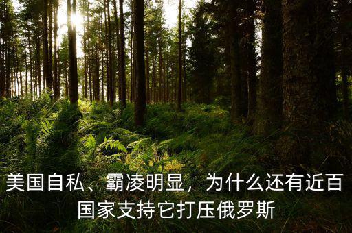 美國(guó)自私、霸凌明顯，為什么還有近百國(guó)家支持它打壓俄羅斯