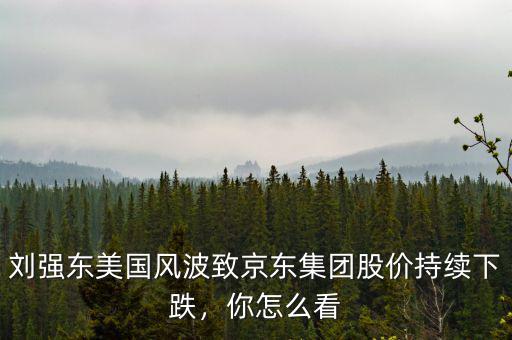 劉強東美國風波致京東集團股價持續(xù)下跌，你怎么看