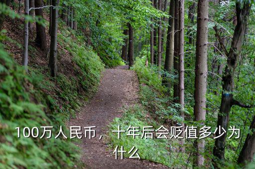 100萬人民幣，十年后會貶值多少為什么