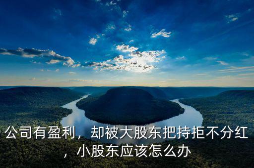 公司有盈利，卻被大股東把持拒不分紅，小股東應(yīng)該怎么辦