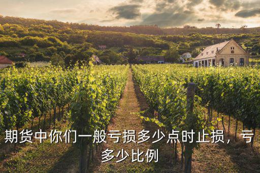 期貨中你們一般虧損多少點時止損，虧多少比例