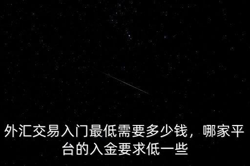 外匯交易入門最低需要多少錢，哪家平臺的入金要求低一些