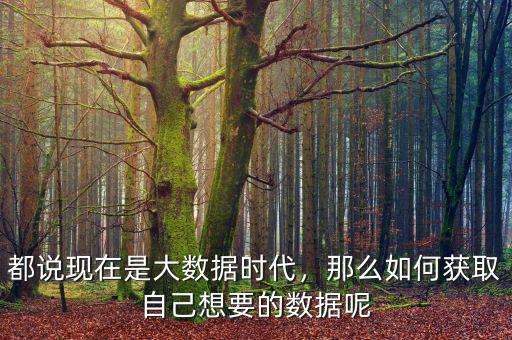 大數(shù)據(jù)怎么獲得,都說現(xiàn)在是大數(shù)據(jù)時(shí)代