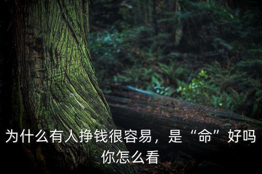 為什么有人掙錢很容易，是“命”好嗎你怎么看