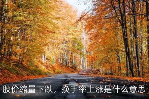 股價(jià)縮量下跌，換手率上漲是什么意思