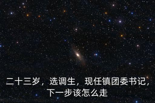 二十三歲，選調(diào)生，現(xiàn)任鎮(zhèn)團(tuán)委書記，下一步該怎么走