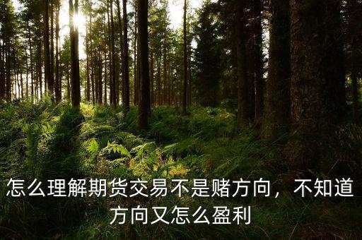 怎么理解期貨交易不是賭方向，不知道方向又怎么盈利
