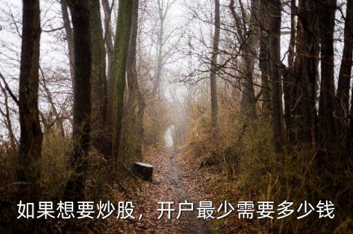 如果想要炒股，開戶最少需要多少錢