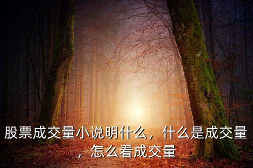 股票成交量小說明什么，什么是成交量，怎么看成交量