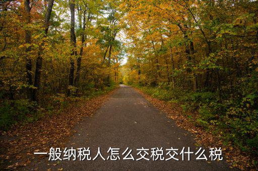 稅友可以繳納什么稅，一般納稅人應(yīng)該交什么稅稅率是多少啊