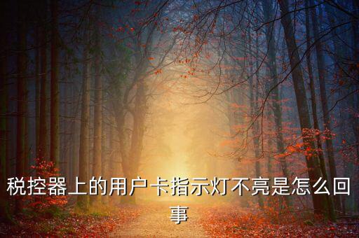 稅控機用戶卡是什么，稅控器上的用戶卡指示燈不亮是怎么回事