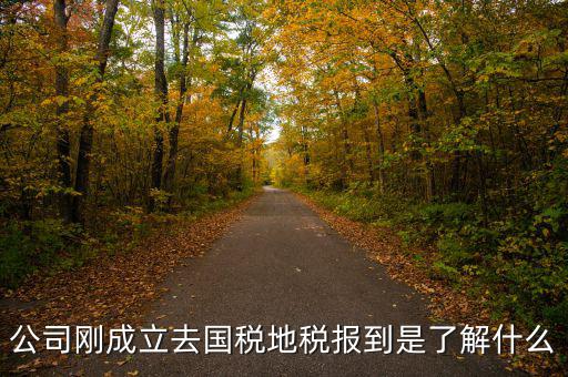公司剛成立去國稅地稅報到是了解什么