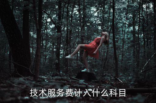 技術(shù)服務(wù)收入計(jì)入什么科目，收到技術(shù)服務(wù)費(fèi)計(jì)入什么科目