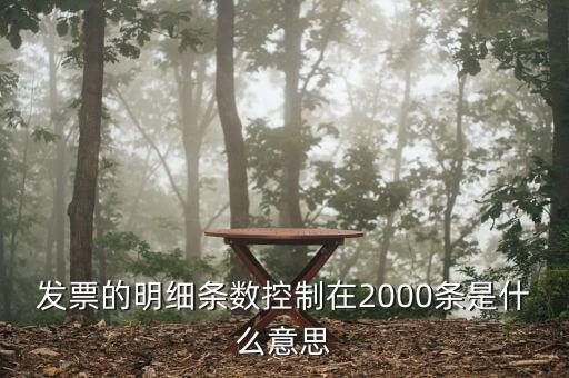 發(fā)票明細什么意思，發(fā)票的明細條數控制在2000條是什么意思