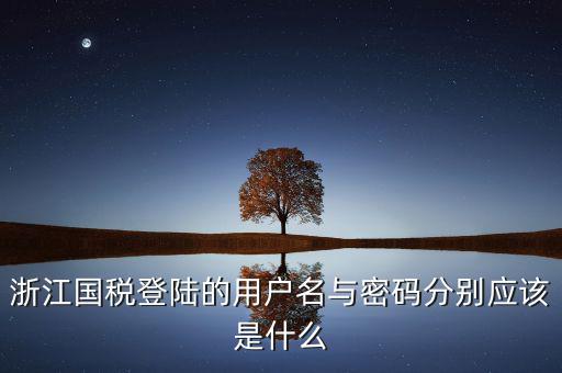 浙江省網(wǎng)上稅務局賬號是什么，電子稅務局賬號是什么號碼