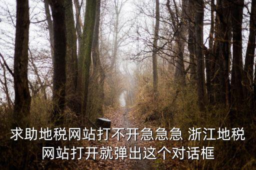 求助地稅網(wǎng)站打不開急急急 浙江地稅網(wǎng)站打開就彈出這個(gè)對(duì)話框