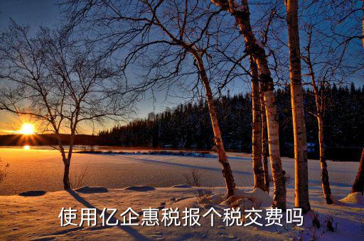 深圳億企惠稅報(bào)什么稅，稅友億企惠稅是用來申報(bào)地稅還是國稅