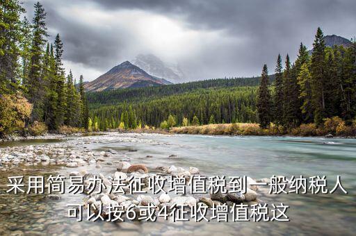 什么是簡易征收辦法征收增值稅，采用簡易辦法征收增值稅到一般納稅人可以按6或4征收增值稅這