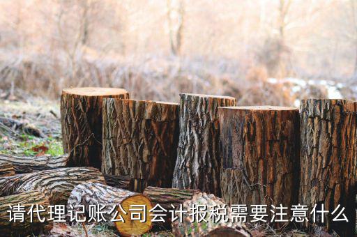 給純地稅做賬注意什么，繳的地稅怎么做帳
