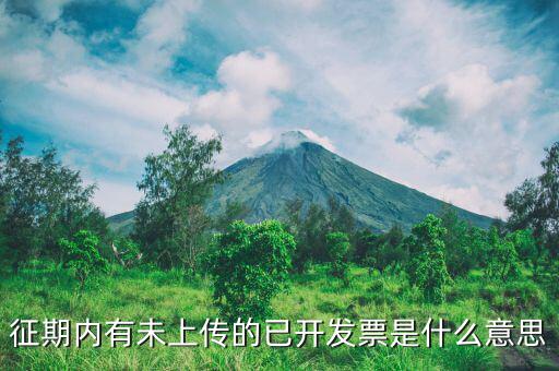申報(bào)沒上傳是什么意思，我在財(cái)務(wù)申報(bào)時(shí)沒上傳第二天可以不傳嗎