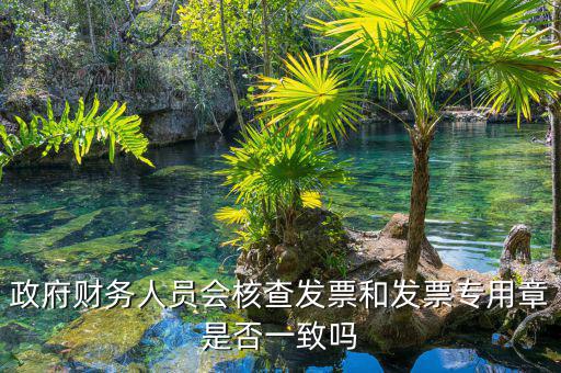 什么情況會核查發(fā)票，就是稅務局導出數(shù)據(jù)的時候會不會核對一下發(fā)票的因為我不確定自