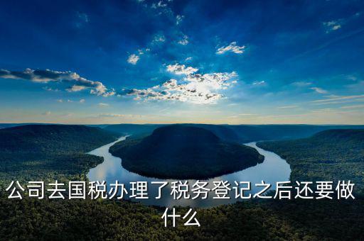 國稅辦完之后辦什么，公司去國稅辦理了稅務(wù)登記之后還要做什么