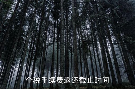 個(gè)稅手續(xù)費(fèi)返還什么時(shí)候還，個(gè)稅手續(xù)費(fèi)返還時(shí)間