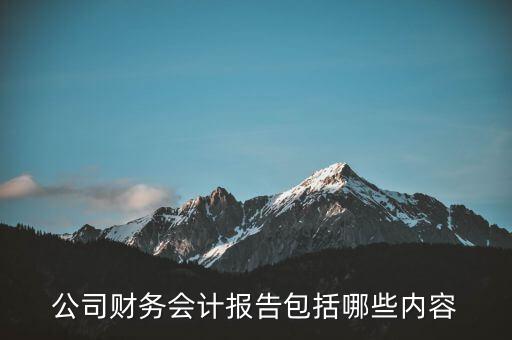 公司財(cái)務(wù)會(huì)計(jì)報(bào)告包括哪些內(nèi)容
