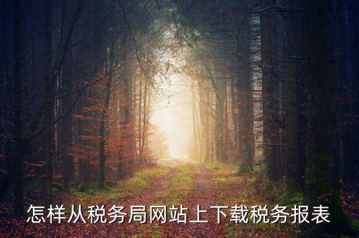怎樣從稅務(wù)局網(wǎng)站上下載稅務(wù)報表