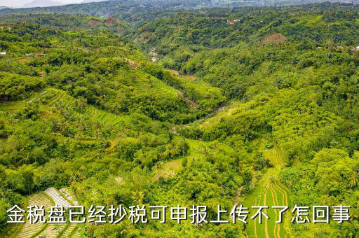 金稅申報發(fā)送不了是什么原因，金稅盤已經(jīng)抄稅可申報上傳不了怎回事