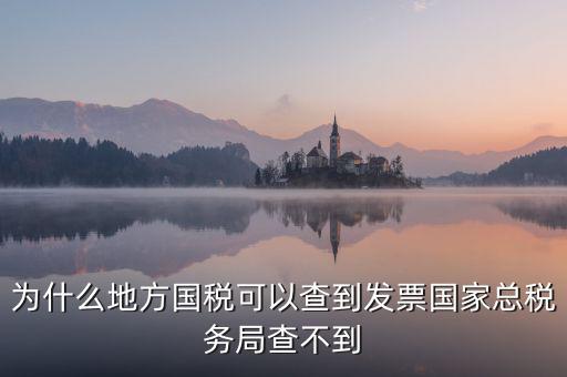 為什么地方國稅可以查到發(fā)票國家總稅務(wù)局查不到