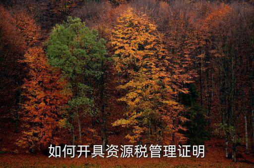 資源稅乙種證明要什么資料，混凝土公司購(gòu)買(mǎi)砂石需要開(kāi)具資源稅乙種證明嗎