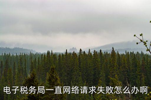 貴州省網(wǎng)上稅務(wù)局為什么打不開，怎么打不開貴州地方稅務(wù)局網(wǎng)站