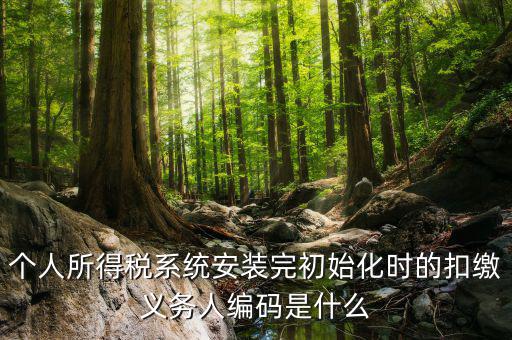 扣繳人義務編碼是什么，扣繳義務人編碼是什么啊