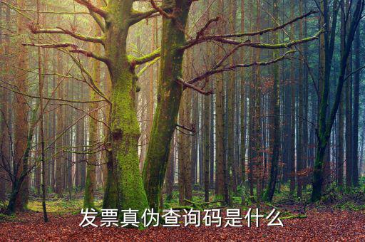 定額發(fā)票真?zhèn)尾樵兲柺鞘裁?，發(fā)票真?zhèn)尾樵兇a是什么