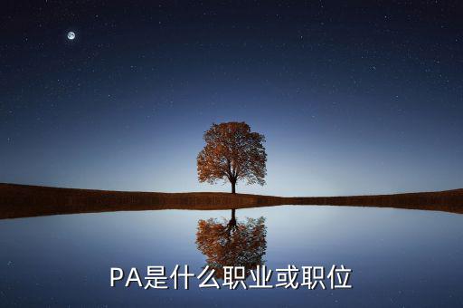 河南省國稅局陳紅偉什么職務，PA是什么職業(yè)或職位