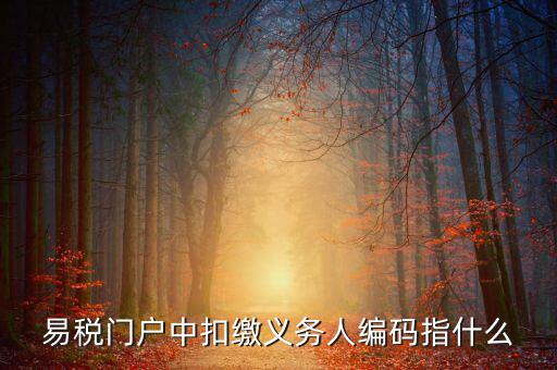 易稅門(mén)戶中扣繳義務(wù)人編碼指什么