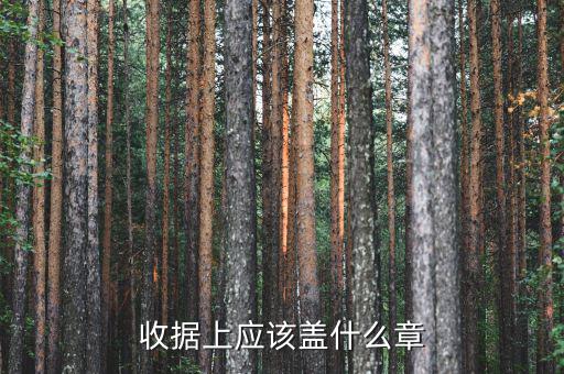 收據(jù)應(yīng)蓋什么章，收據(jù)蓋什么章有規(guī)定嗎