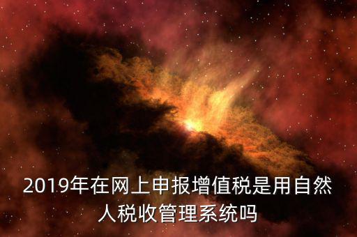 什么是增值稅管理系統(tǒng)，2019年在網(wǎng)上申報增值稅是用自然人稅收管理系統(tǒng)嗎