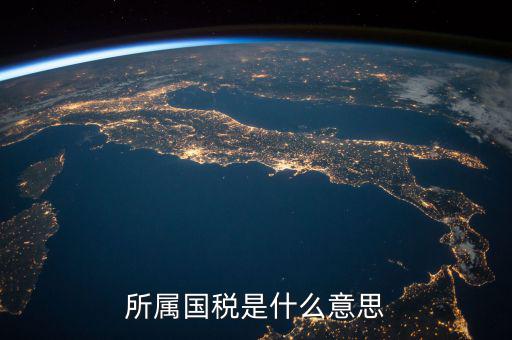 所屬國(guó)稅是什么意思