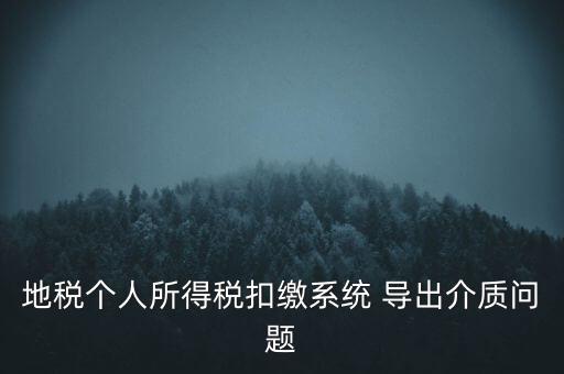 地稅個人所得稅扣繳系統(tǒng) 導出介質(zhì)問題