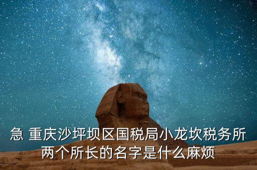 稅務所所長什么級別，地稅局基層稅務所屬什么層級
