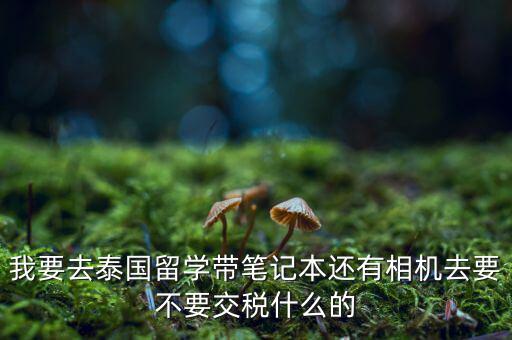 泰國什么人需要納稅，我要去泰國留學帶筆記本還有相機去要不要交稅什么的