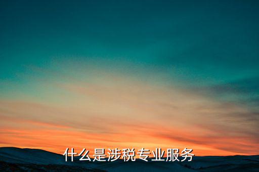 涉稅專業(yè)服務(wù)機(jī)構(gòu) 包括什么，什么是涉稅專業(yè)服務(wù)